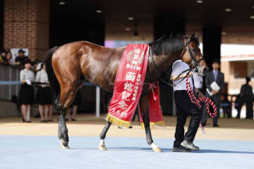【函館記念】佐々木「イメージ通り乗れた」ヴェローチェエラが重賞初制覇