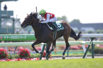 WIN5は800万円超の払戻し…函館記念はヴェローチェエラが快勝