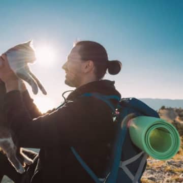 自然環境保護のために、登山者に人気の猫を「強制下山」！人々からは不満の声も　フィリピン