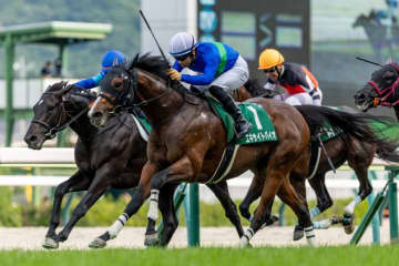 【ラジオNIKKEI賞】荻野極騎乗 エキサイトバイオが馬群を割って突き抜ける