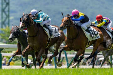 3連複で福島競馬史上最高払戻金を記録