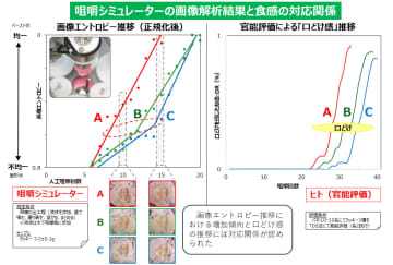 クッキーの口どけ感を見える化 咀嚼シミュレーターに新機能 J-オイルミルズと大阪大学