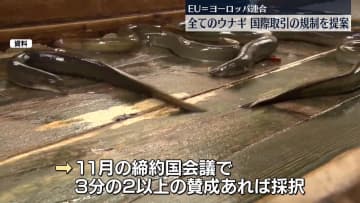 EU、全てのウナギをワシントン条約対象に提案…国際取引を規制