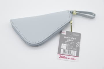 ダイソーで2代目購入！こんなに高見えなのに200円♡機能性もばっちりなマルチケース