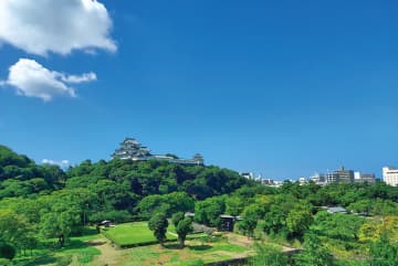おばあちゃんの家で、家族の新しい暮らしが始まった ―「孫ターン」という選択【和歌山県和歌山市】