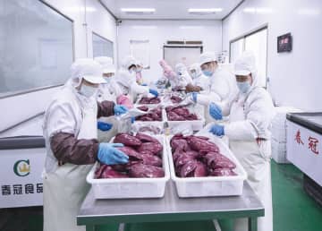 フォアグラ産業が地域振興の力に、日本などへも輸出　中国山東省臨朐県