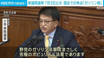 参議院選挙 7月3日公示 国会での争点は「ガソリン税」