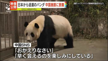 和歌山から返還のパンダ　中国・四川省の検疫施設に到着　映像公開
