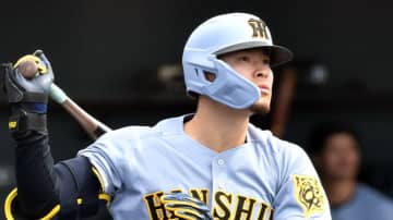 阪神タイガース生え抜き選手の年度別最多本塁打、40年ぶり30発到達なるか