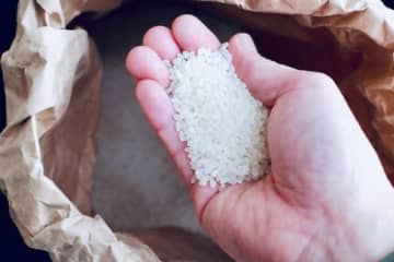 「コメ価格高騰」受け、政府が「生産調整」見直しへ…新たな所得補償も検討 その背景と注目ポイントを専門家が解説