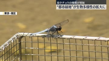 東京都心部“都市緑地”で生物多様性が拡大　鳥やチョウの種類が増加
