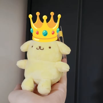 「2025年サンリオキャラクター大賞」3大犬キャラクターがトップ3を独占！中国ネット「まさかの…」