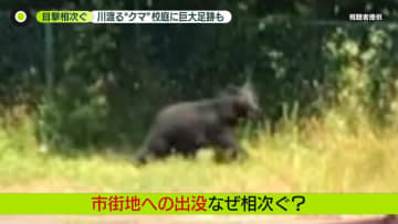 クマ被害相次ぐ　軽トラを突然追いかけ…遭遇の男性、緊迫の状況語る