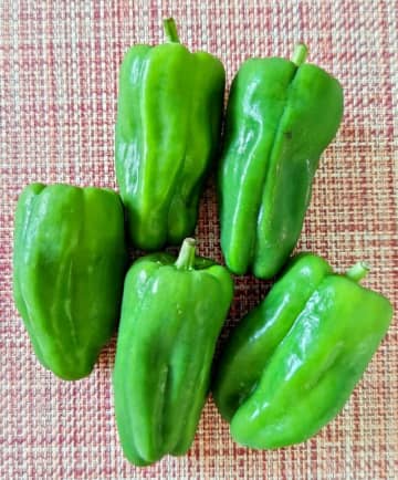 夏バテ予防に！無限においしい「ピーマン」レシピ2選