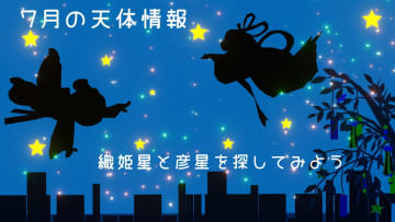 【7月の天体情報】七夕は織姫星と彦星を探してみよう！夏休みに見たい流星群とは？