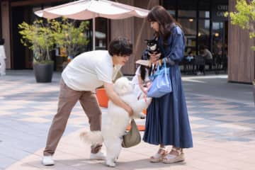清原果耶×成田凌×ナ・イヌが織りなす“こじらせ大人”のラブストーリー『初恋DOGs』今夜スタート