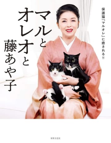 「同化の術始めようとしてない！？」藤あや子の愛猫ショットに驚きの声「フュージョンだ」「新しい生物」