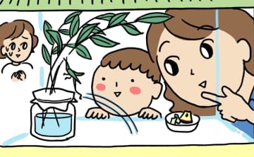 虫苦手ママでもハードル低め。オンブバッタを飼ってみよう！【マンガでわかる！おっかなびっくり飼育】
