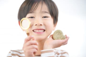 【自由研究におすすめ】本物の化石にさわって、詳しくなれる！「化石とあそぼう」開催♪