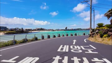 済州島で交通違反など取り締まり、1時間で中国人11人含む26人摘発＝韓国ネット「厳しい処罰を」