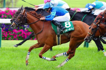 【北九州記念登録馬】アブキールベイなど22頭