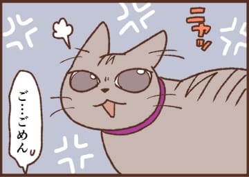 【吉川さん家の猫事情】#99話 ネコに怒られる…