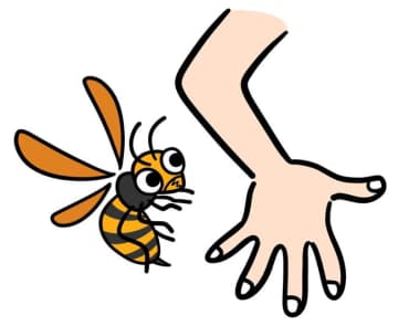 『蜂から追いかけられる人』がやっているNG行為4選　ダメな行動と取るべき対処法とは