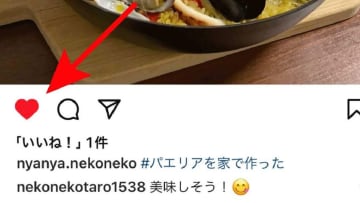インスタグラムの「いいね！」数の見方は？いいね！数の表示・非表示の切り替え方も