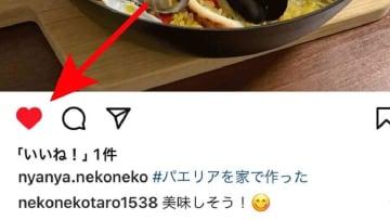 インスタグラムの「いいね！」数の見方は？いいね！数の表示・非表示の切り替え方も