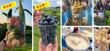 【道の駅木更津うまくたの里】土日・祝日開催の農作物詰め放題に特別新企画！野菜10種詰め放題とブルーベリー詰め放題が各2日間限定で登場！　～地元生産者さんを応援！その他にも落花生や新米など旬の美味しさをお得にお届け！～