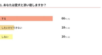 【調査】愛犬と一緒に寝ている人はどれくらい？添い寝の注意点を獣医師が解説