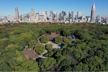 自然を感じるデートなら！自然に癒やされる関東のオススメスポット11選