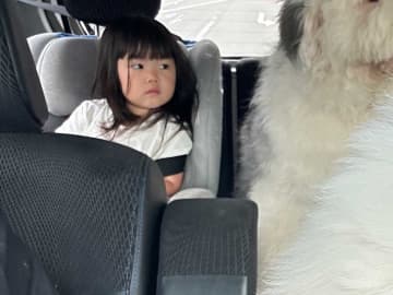 娘を保育園に連れて行く親　同乗していた『メンバー』に「最高の送迎」「ハーレムだ」