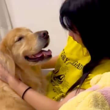 高校生になり忙しくなった女の子→帰宅すると『寂しがっていた大型犬』が近づいてきて…ほっこりが止まらない『甘えん坊すぎる光景』が24万再生