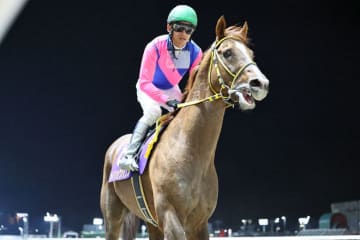 【帝王賞】メイショウハリオ無念の競走除外…史上初の帝王賞3勝目ならず