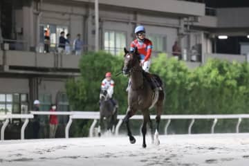 【帝王賞】三浦「ここを使って良くなる」東京ダービー馬ラムジェットは6着