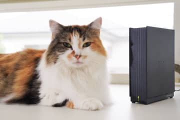 iPhoneのファイル管理アプリでアイ・オーのNAS「LAN DISK」を操作する【自宅Wi-Fi使いこなし】