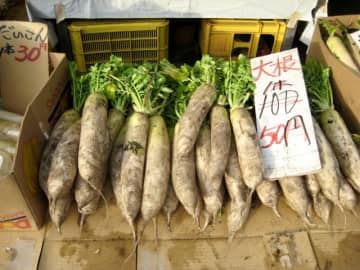 「100円野菜直売所のおじさんに感謝」2300万円の詐欺被害に遭った女性が人の優しさに触れた瞬間