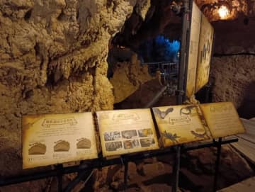 【沖縄】写真映えばっちり！涼しくて神秘的な鍾乳洞～CAVE OKINAWA～