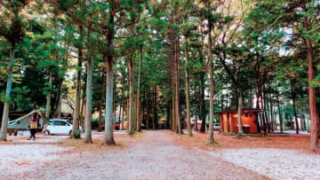 初心者におすすめ！キャンピングカーが利用できるキャンプ場12選【茨城県】