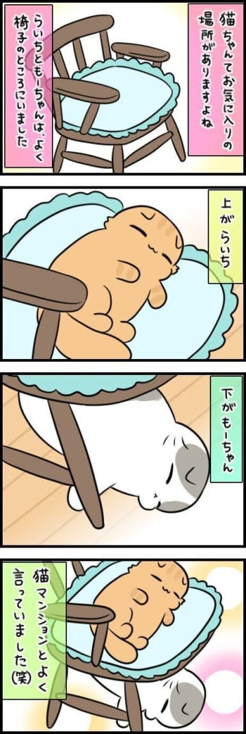 猫の不思議なルール！上下に並ぶ『猫マンション』の秘密【連載】もふもふスコたん#353
