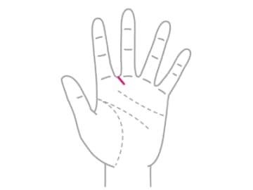 自己アピールが上手な人が持つ『アピール線』とは！？【手相の教科書】