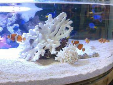 【西宮】ショッピングモールにジャングル!?珍しい生き物に会いに行こう♪