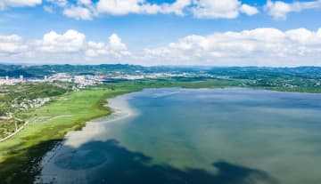 夏の草海国家級自然保護区を訪ねて　中国貴州省