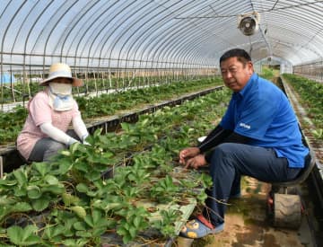 《連載:参院選茨城　思いをどこへ25年》　苦境の農家「助成を」　のしかかる資材費高騰