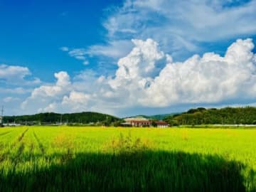 瀬田国民学校の絵日記188日分全点展示！『戦時下の学校生活と子どもたち』【大津市歴史博物館】子ども向け展示ガイドツアーも実施！