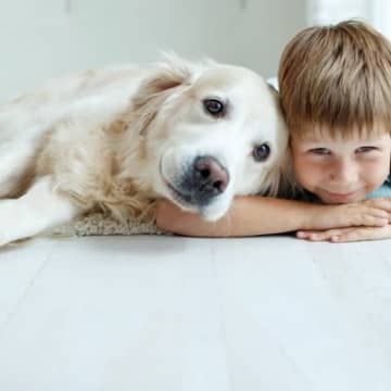 犬とのスキンシップが飼い主の心を守る！愛犬がもたらす幸せホルモン『オキシトシン』の効果とは