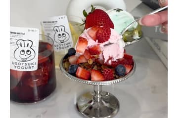 “まるでパフェ”なグリークヨーグルト専門店「ウソツキヨーグルト」西麻布にオープン