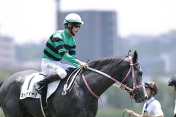 【新馬/小倉5R】トーセンラー産駒 キャンディードがデビューV