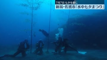 海底で笹に短冊飾り付け　新潟・佐渡市「水中七夕まつり」